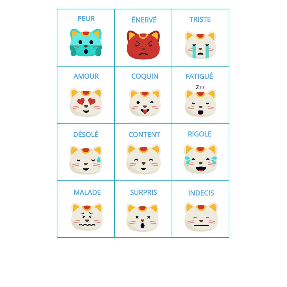 12 pictogrammes plastifiés grand format style petit chat La bulle atypique