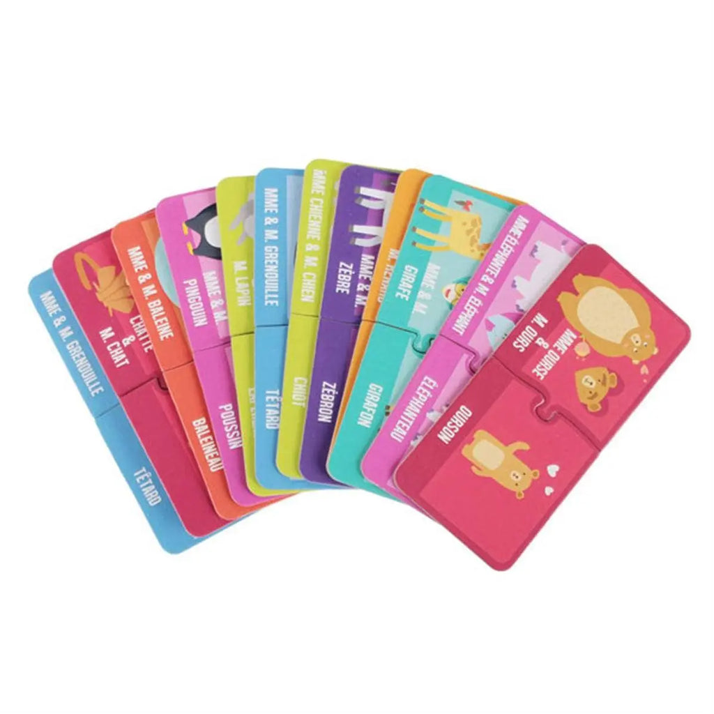 Carte Educatives J'Apprends Les Animaux X30 TSJJ