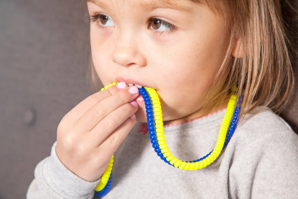 Pack Colliers Sensoriels - 4 quatre colliers et 1 Bloc à Mastication Everyday Educate