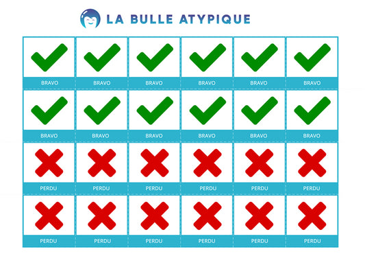 24 pictogrammes plastifiés coche verte et croix rouge - bleu plastifié