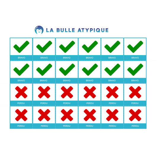 24 pictogrammes plastifiés coche verte et croix rouge - bleu plastifié