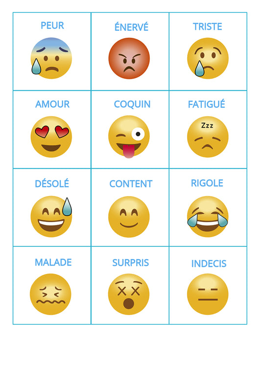 12 pictogrammes plastifiés grand format style emoji