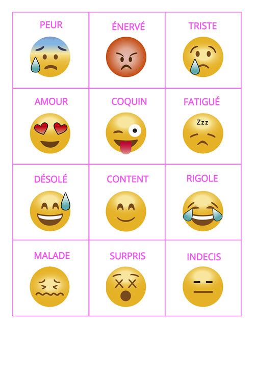 12 pictogrammes plastifiés grand format style emoji